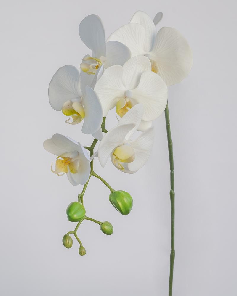 Phalaenopsis Artificial Spray in White 70cm