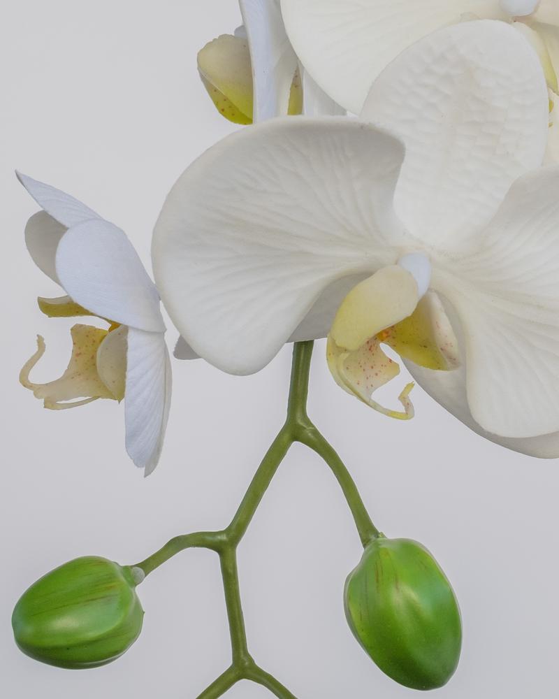 Phalaenopsis Artificial Spray in White 70cm