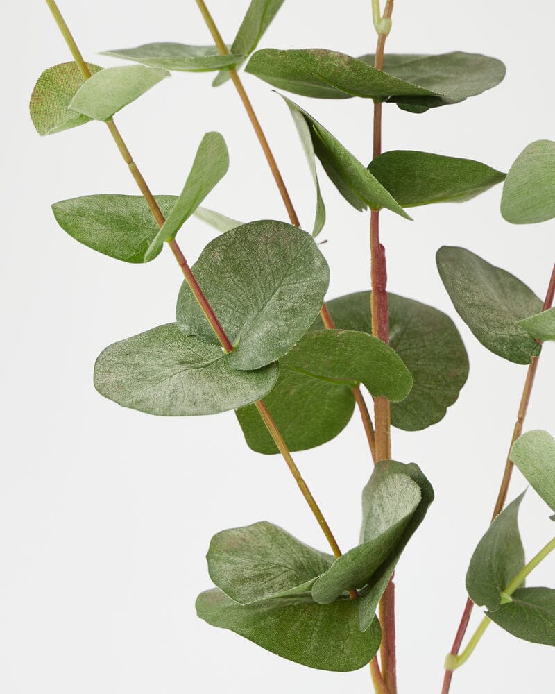Eucalyptus Faux Spray in Green 85cm
