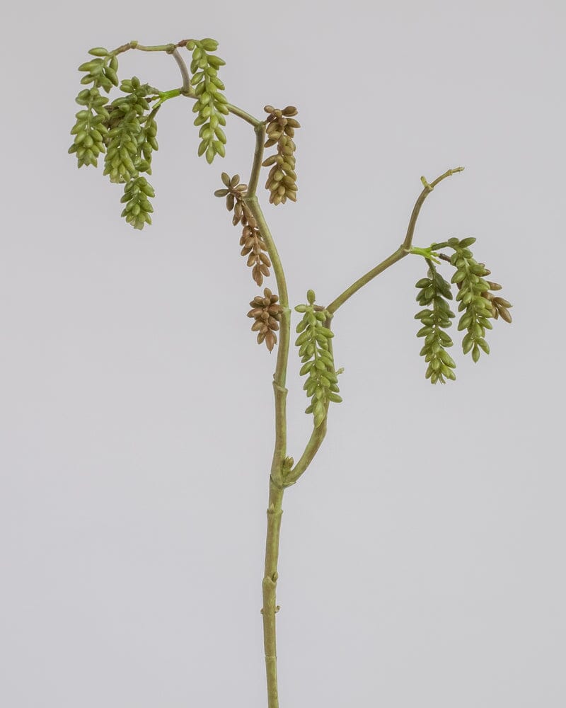 Hanging Faux Succulent in Green/Brown 72cm