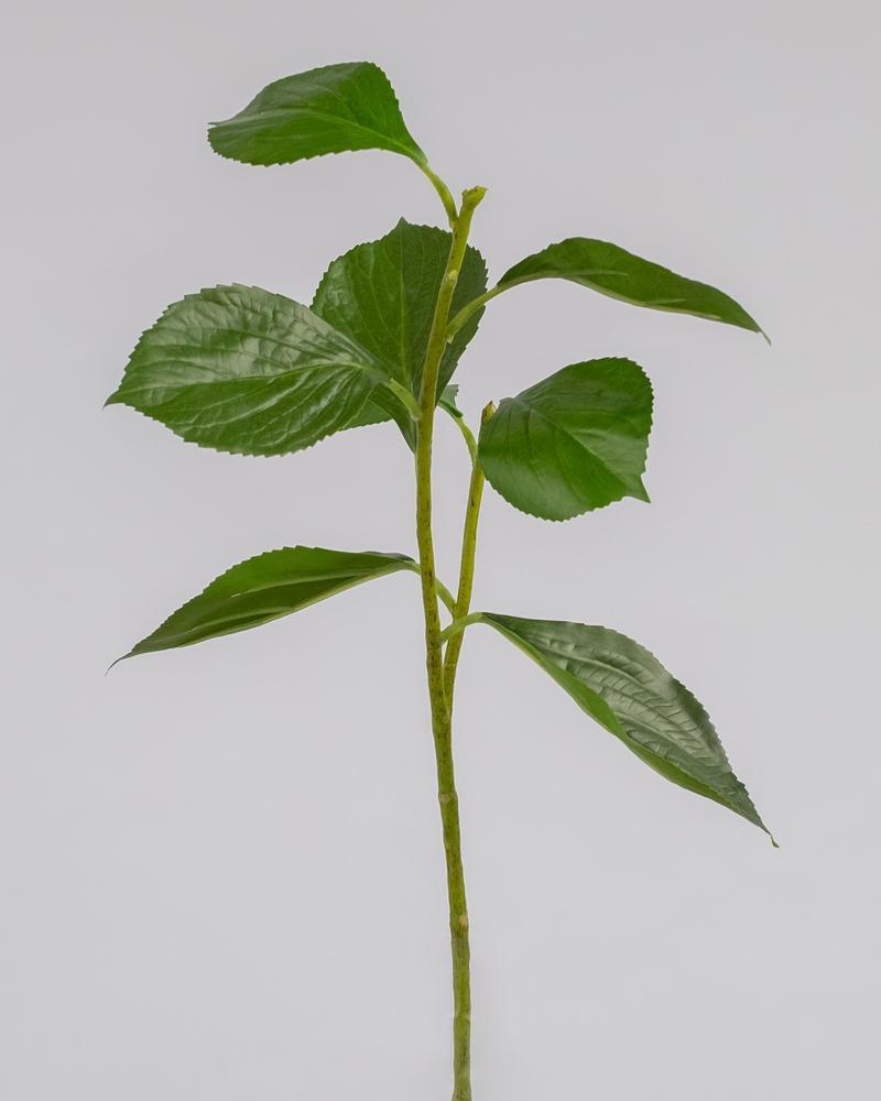 Hydrangea Faux Leaf 55cm
