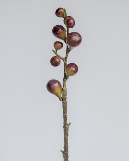 Fig Artificial Branch in Burgundy