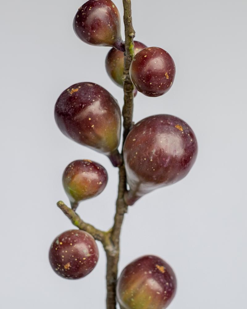 Fig Artificial Branch in Burgundy