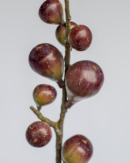 Fig Artificial Branch in Burgundy
