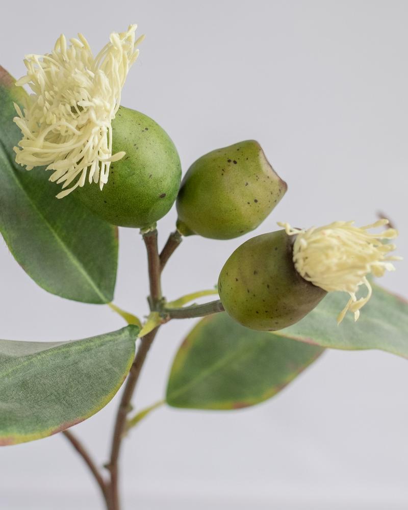 PROTEA SPRAY LIGHT GREEN 50CM