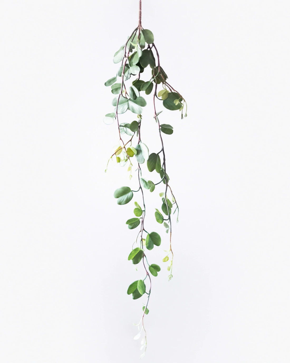 Hoya Kerii Faux Hanging Bush 97cm