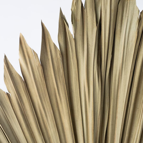 Artificial Palm Fan in Natural - 120cm