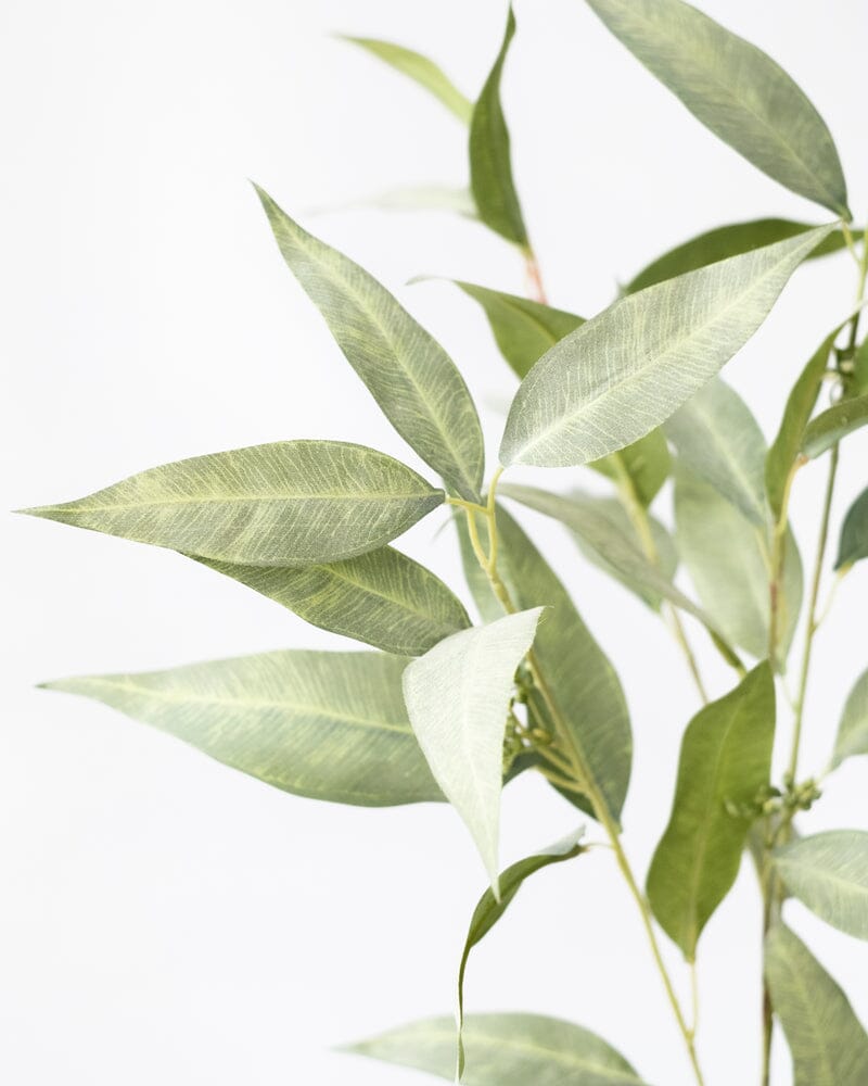 Eucalyptus Spray in Green 97.CM