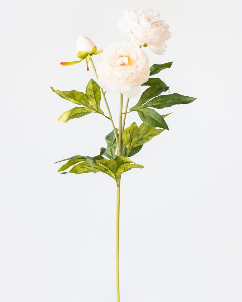 Peony Branch in Beige 75cm