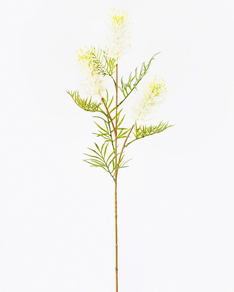 Grevillea Spray in Cream/Green 82.5cm