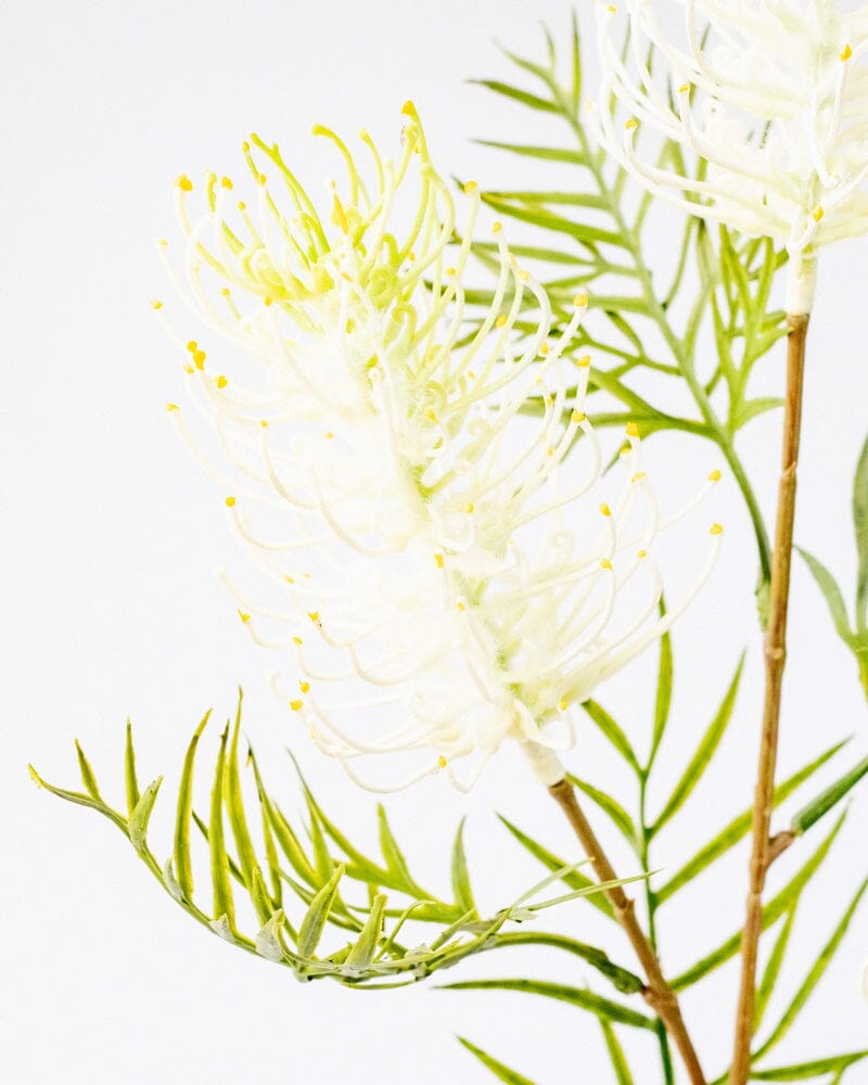 Grevillea Spray in Cream/Green 82.5cm