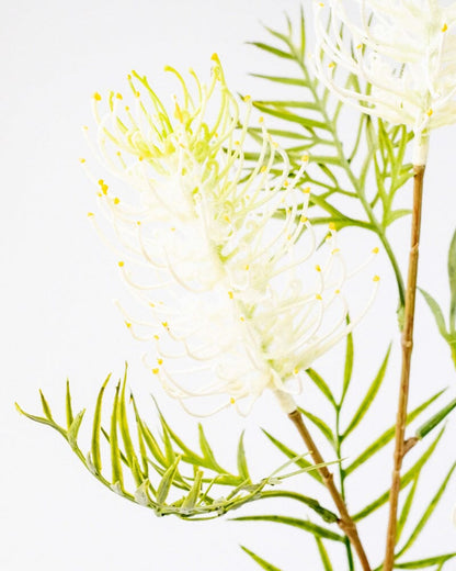 Grevillea Spray in Cream/Green 82.5cm