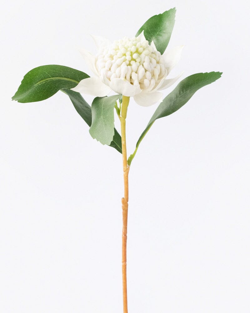 Waratah Faux Stem in White