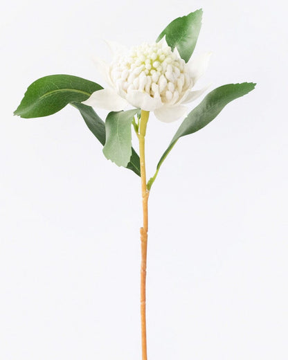 Waratah Faux Stem in White