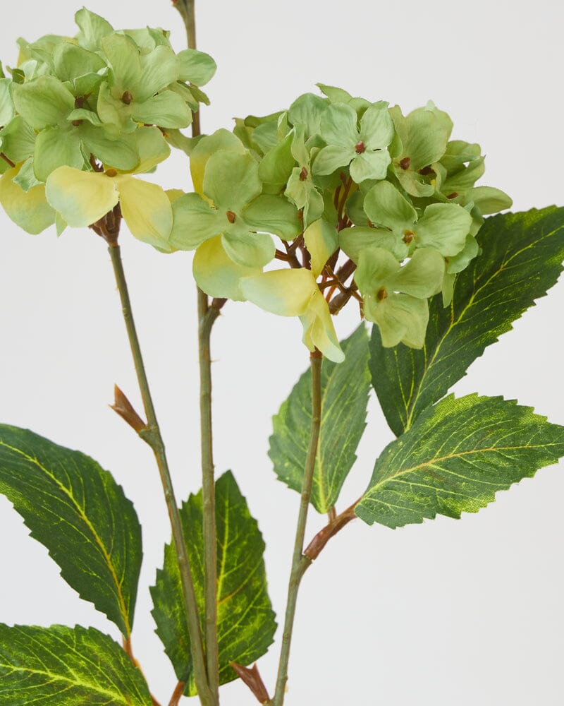 Hydrangea Faux Spray in Green
