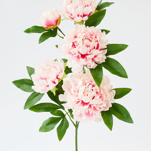 Peony 5 Branch in Cream/Pink 90cm