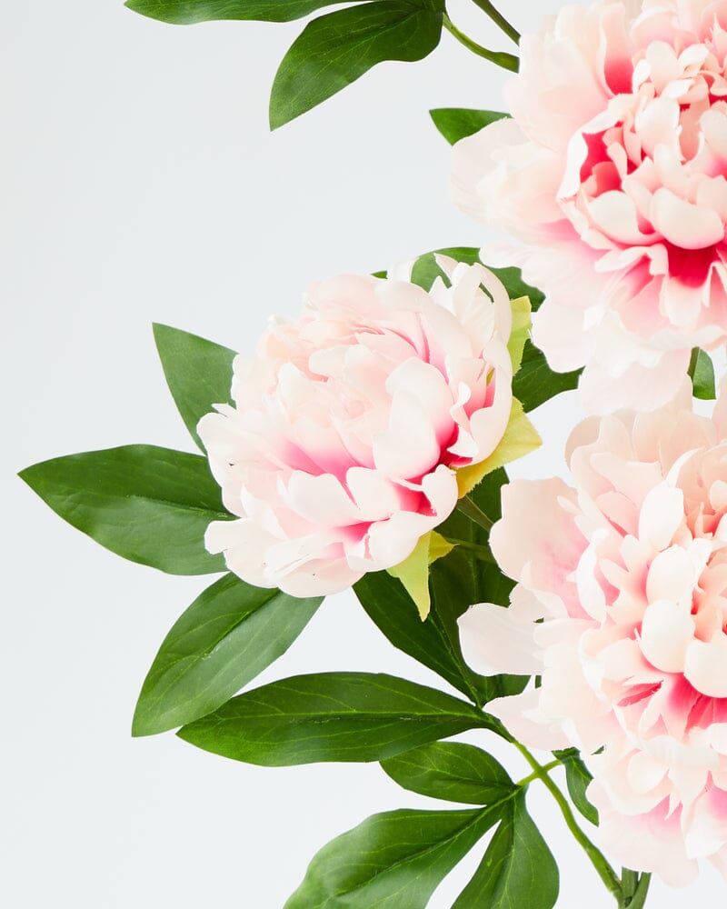 Peony 5 Branch in Cream/Pink 90cm