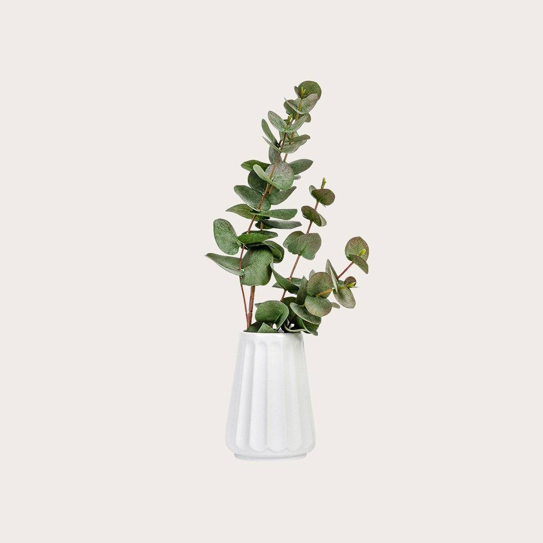 Auguste Ceramic Ribbed Vase in White 14cm - Buy 1 Get 1 Free Sale