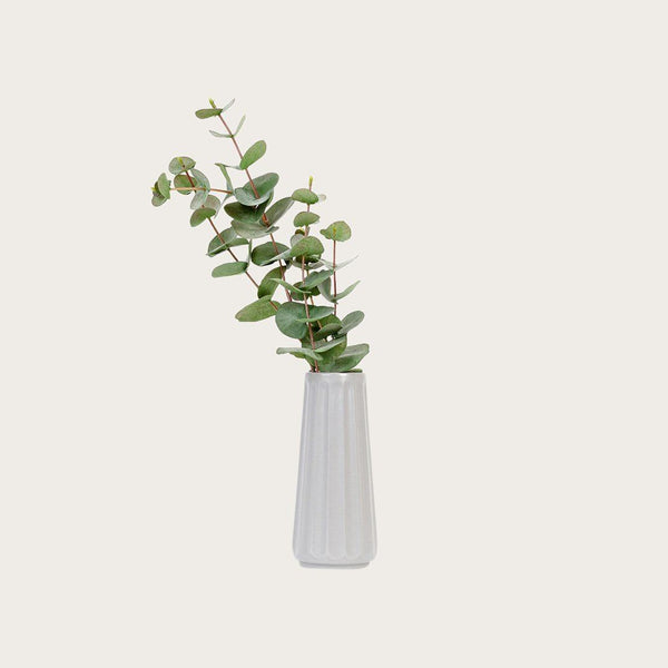 Auguste Ceramic Ribbed Vase in Grey - Large (Save 60%)
