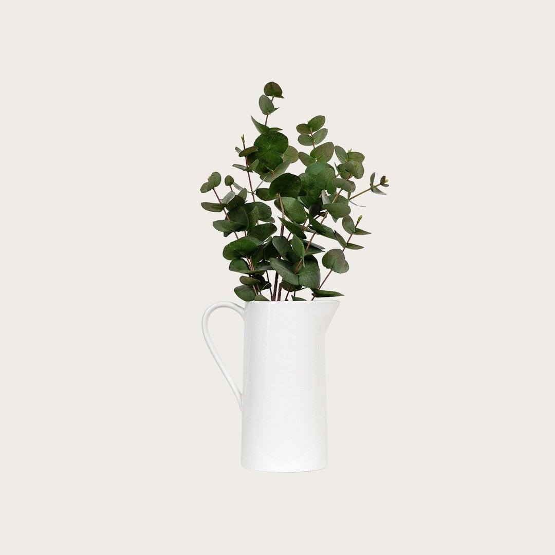 Sorrento Ceramic Pitcher in White 1.7L