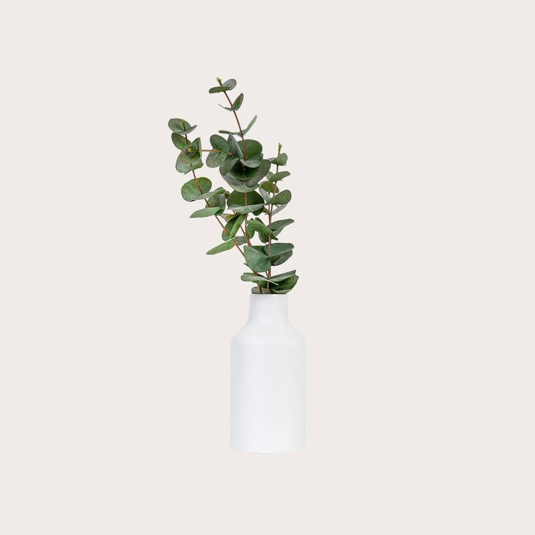 Sol Ceramic Vase in White
