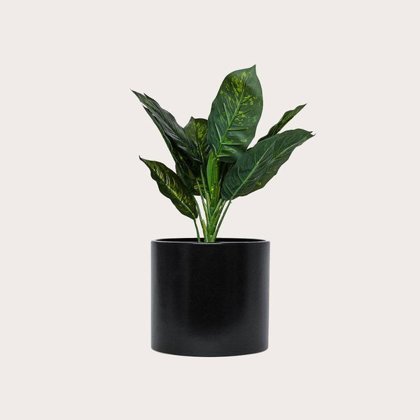 Sierra Ceramic Pot in Black - Buy 1 Get 1 Free Sale