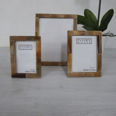 Verigated Horn Picture Frame - Medium