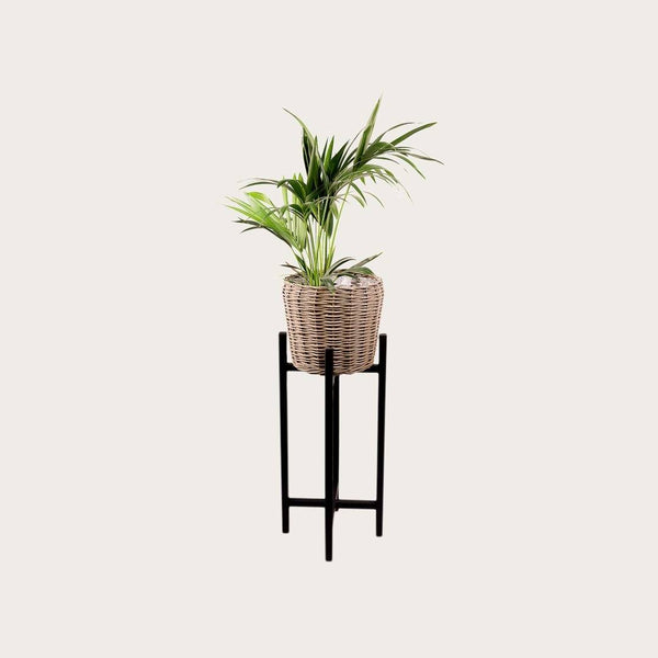 Dolly Willow Basket Wood Plant Stand (Save 40%) Large