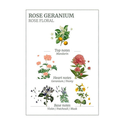 Panier des Sens Rose Geranium Roll-On Eau De Toilette 10ml