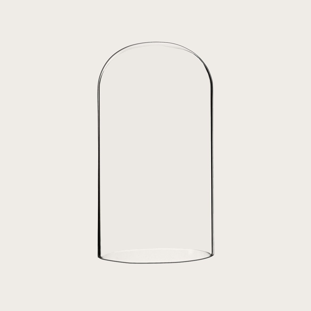 Freya Large Glass Decorative Display Dome