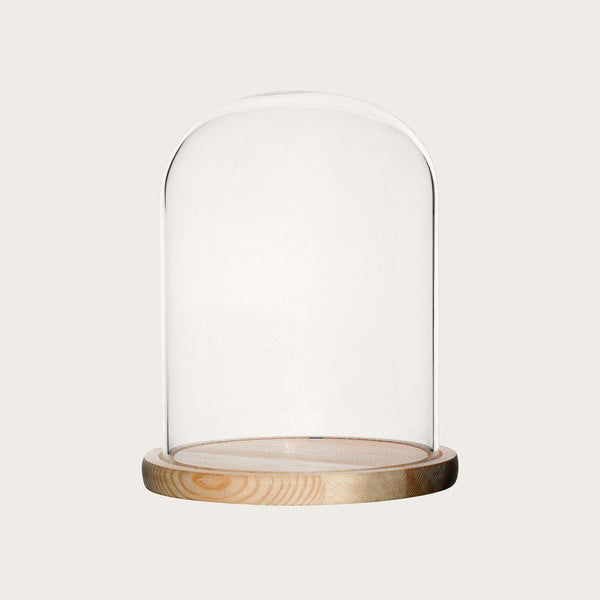 Dominic Small Glass Dome with Wood Base