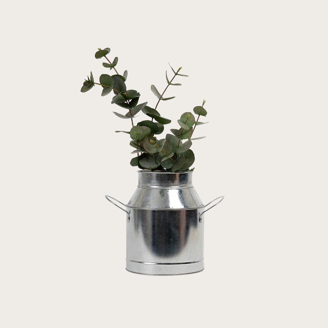 vaca-metal-jug-galvanized