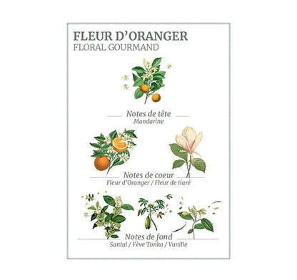 Panier des Sens Orange Blossom Marseille Liquid Soap