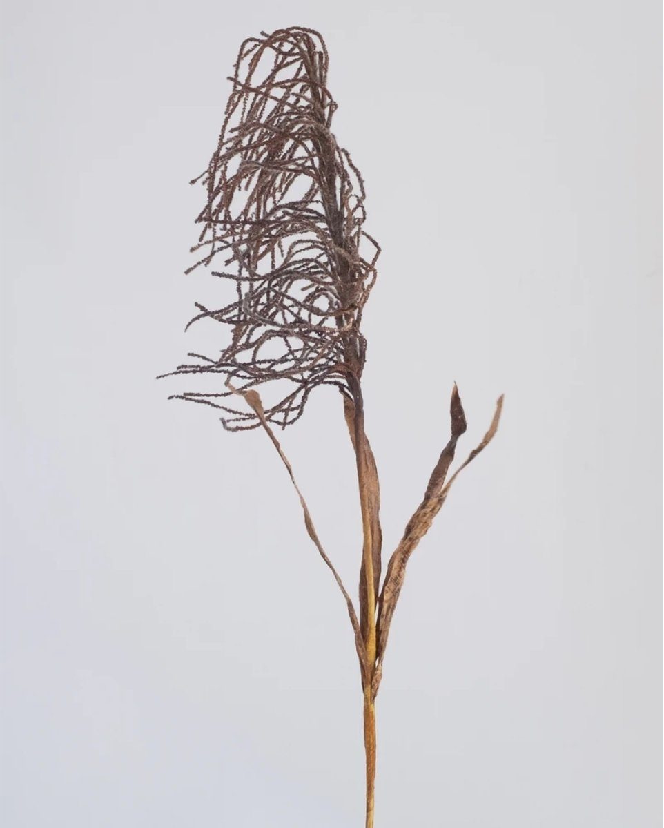 Hanging Reed Spray Dark Coffee 90cm - Sale 40% Off