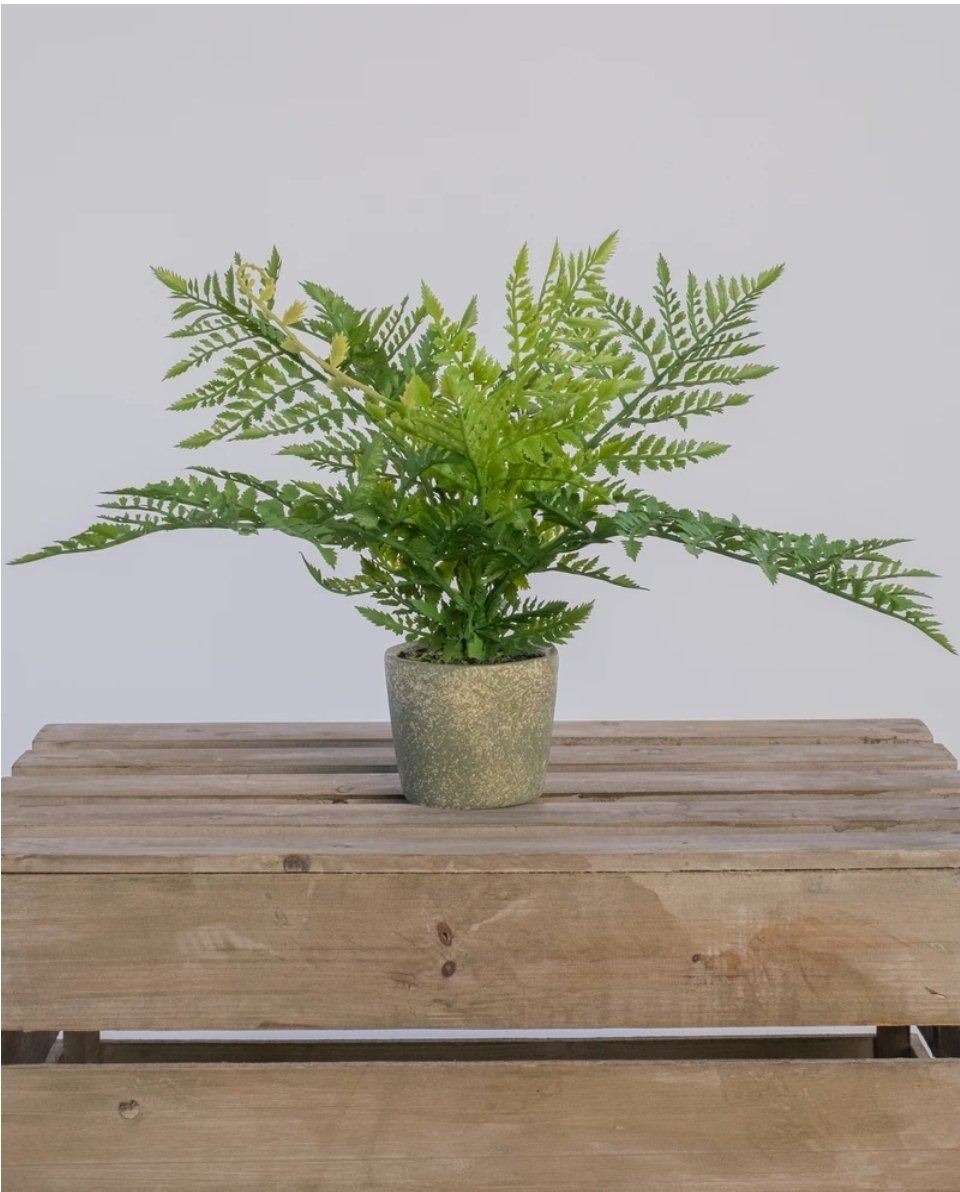 Fern Bush Faux Plant in Cement Pot 35cm
