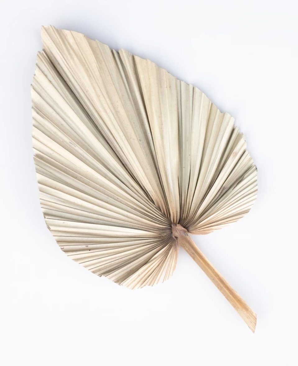 Artificial Palm Fan in Natural - 80cm
