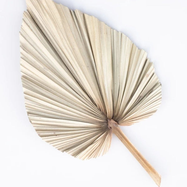 Artificial Palm Fan in Natural - 80cm