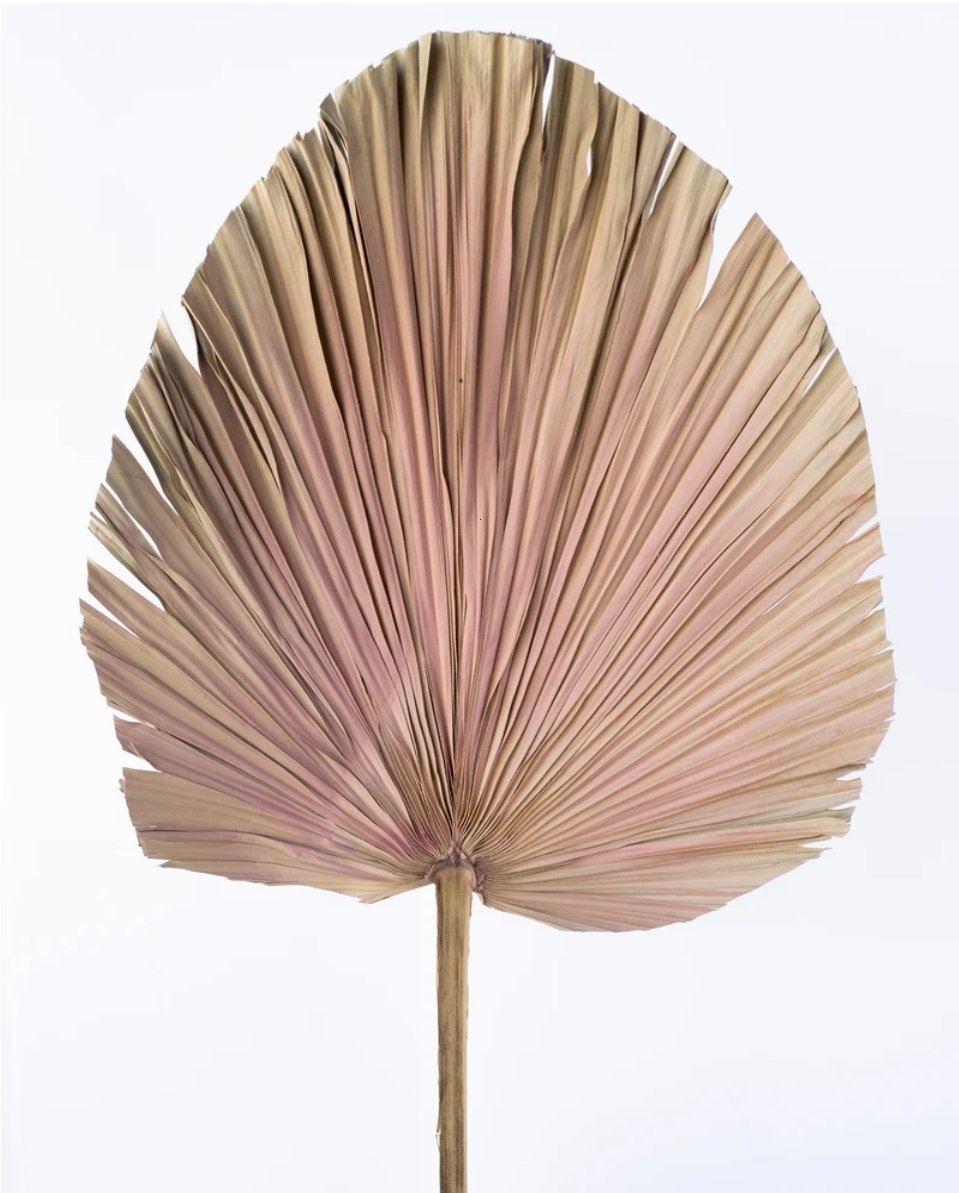 Artificial Palm Fan in Dusty Pink - 80cm