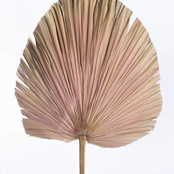 Artificial Palm Fan in Dusty Pink - 80cm