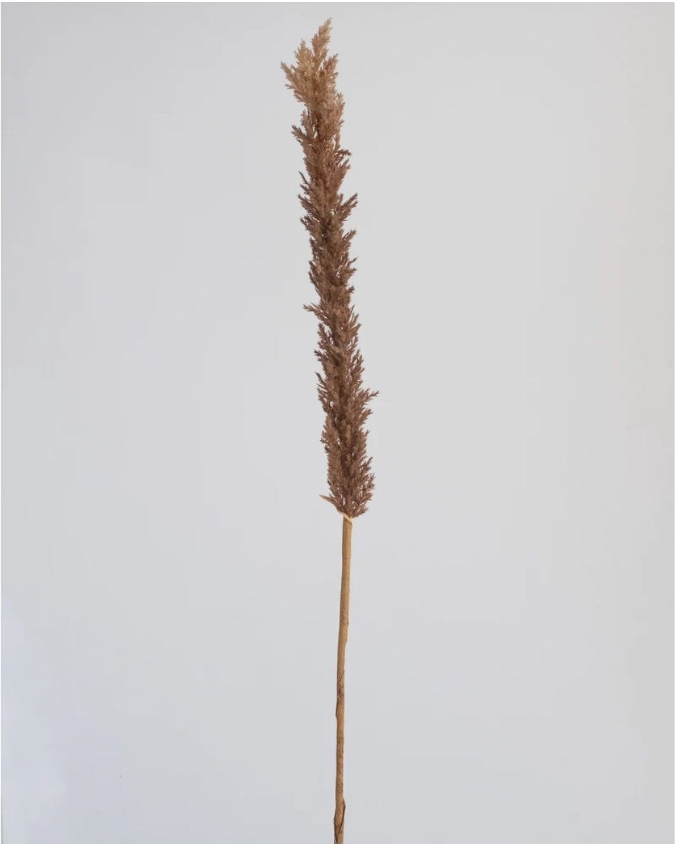 Long Reed Grass Spray Brown 97.5cm (Save 44%)