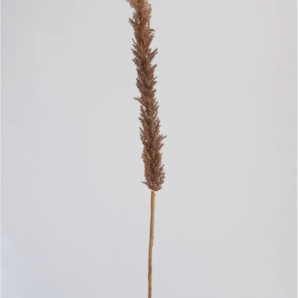 Long Reed Grass Spray Brown 97.5cm (Save 44%)