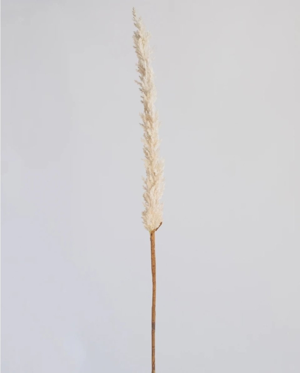 Long Reed Grass Spray Cream 97.5cm (Save 44%)