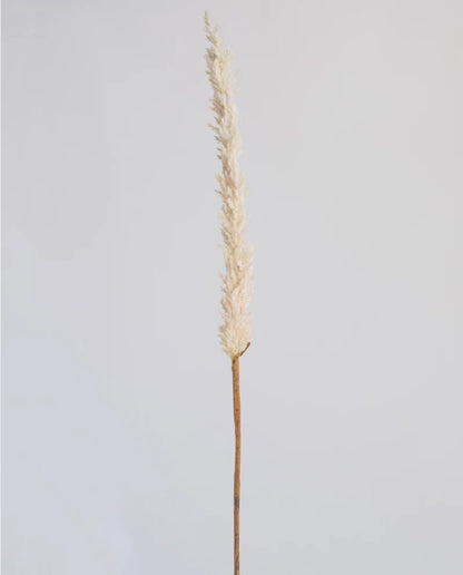 Long Reed Grass Spray Cream 97.5cm (Save 44%)