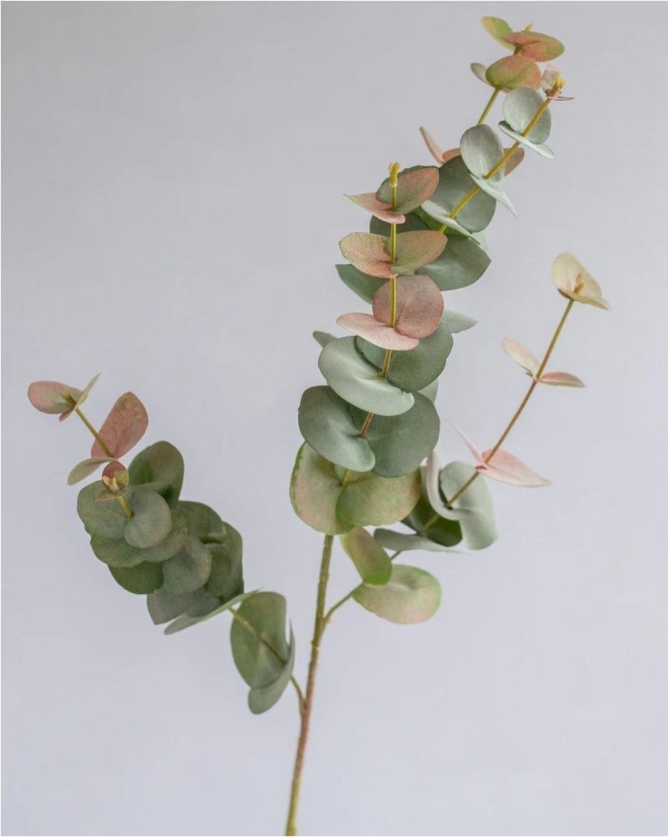 Eucalyptus Spray in Green/Red