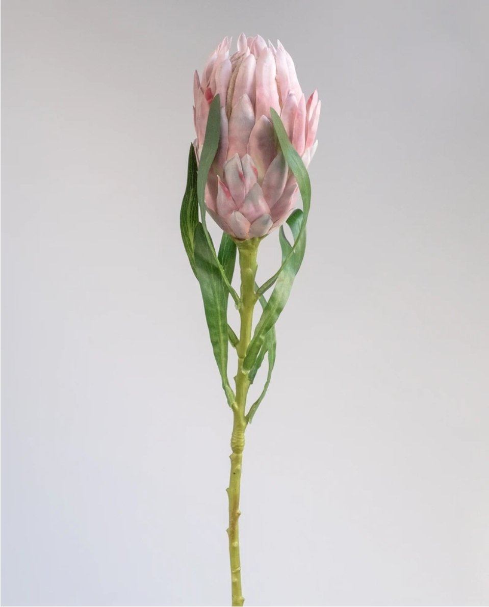 Queen Artificial Protea in Pink 61cm