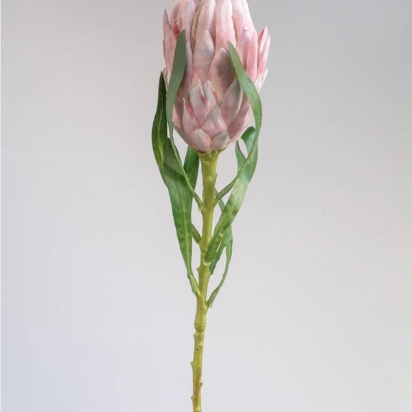 Queen Artificial Protea in Pink 61cm