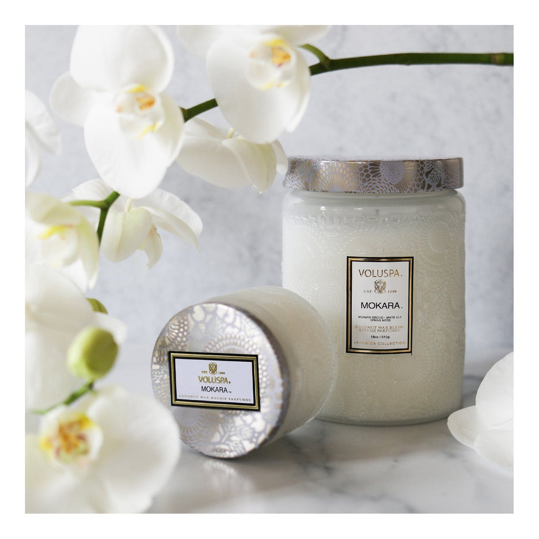 Voluspa Mokara 100hr Candle