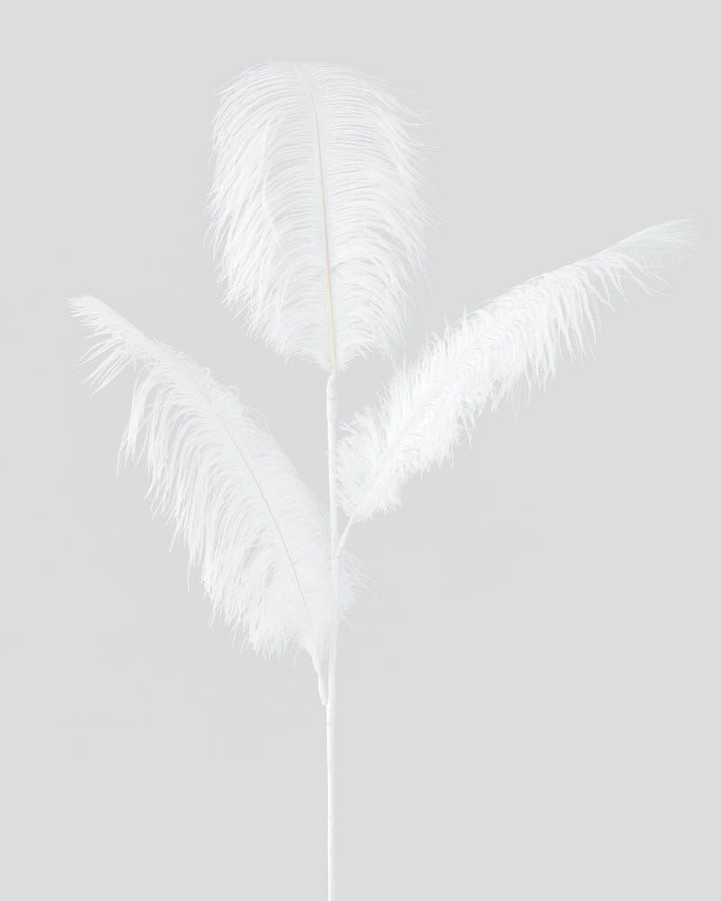 Ostrich Feather in White 73cm