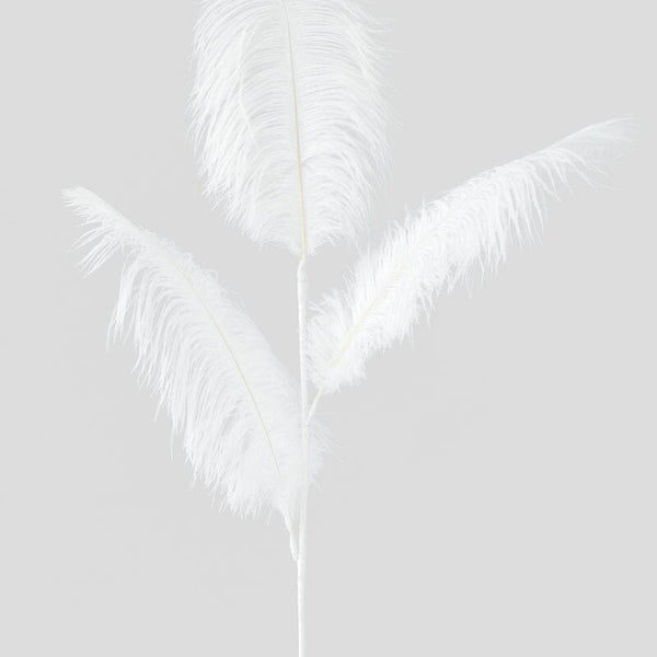 Ostrich Feather in White 73cm