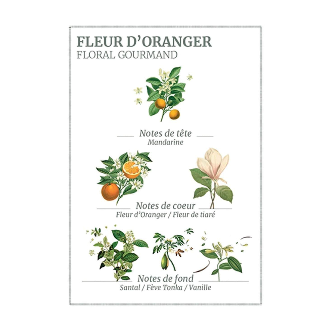 Panier des Sens Orange Blossom Body Lotion